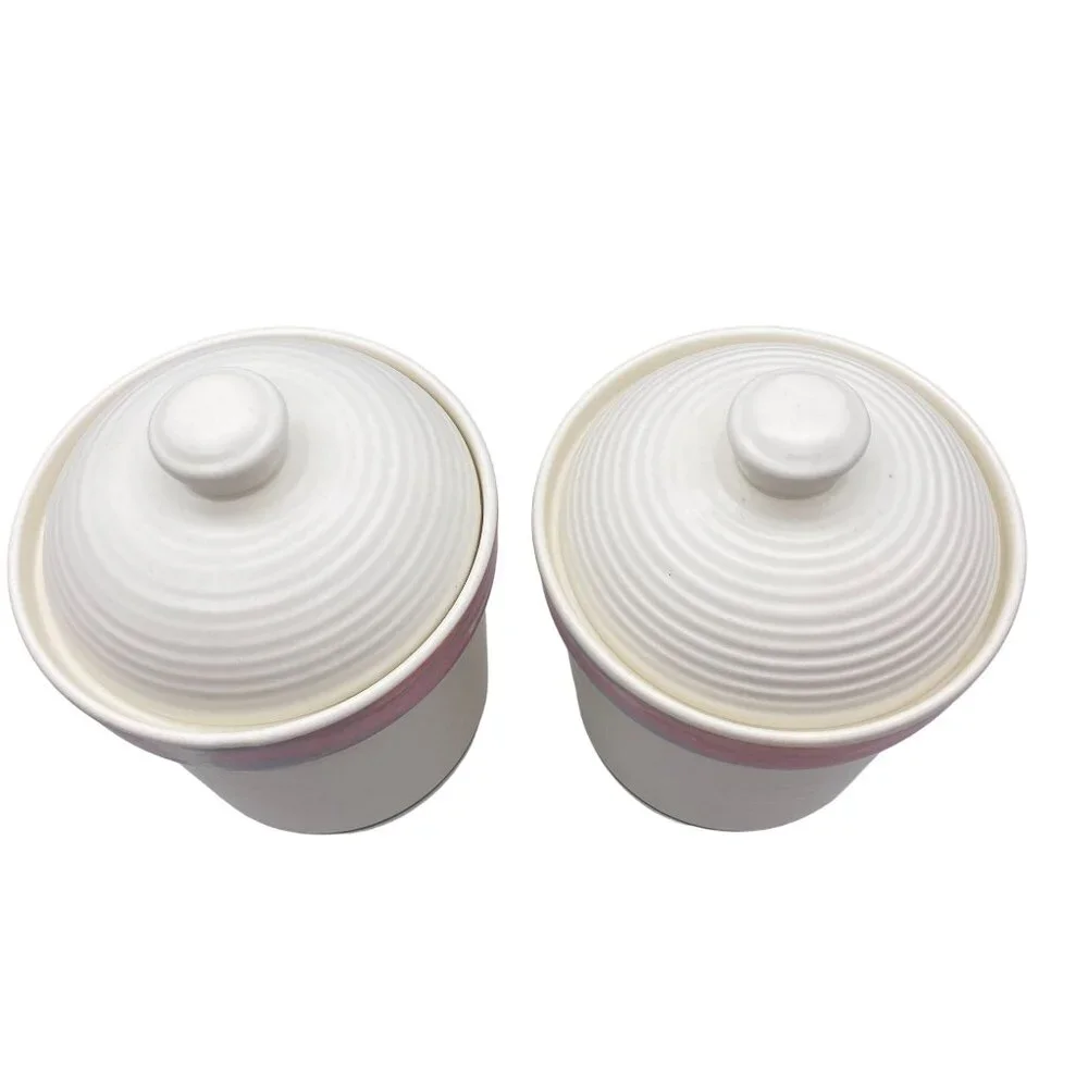 Vintage Treasure Craft Mirage Southwest design canister set of two 80s 90s jars‎